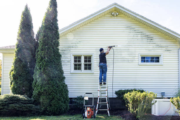 Best Rust Removal  in Dublin, VA